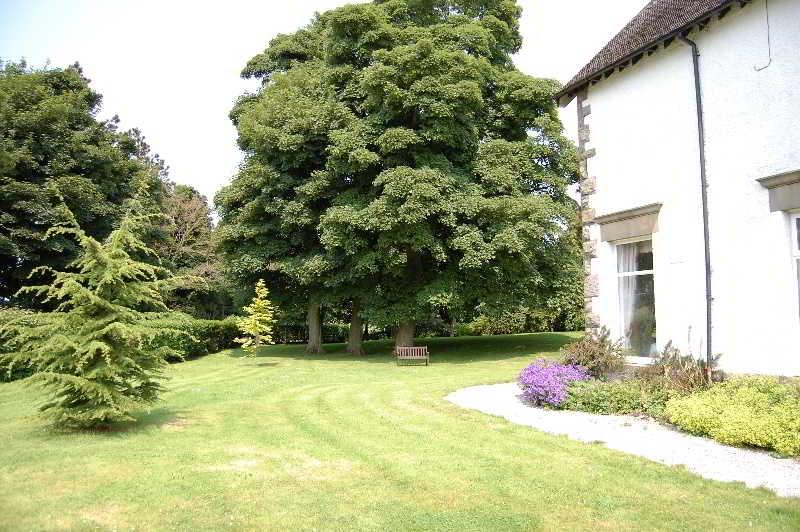 Newton House B&B Derby Exterior photo